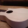 The instrument reassembled and ready for final sanding